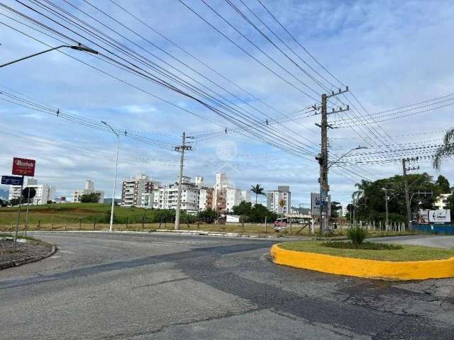 Terreno Entre Os Bairros Pagani e Pedra Branca