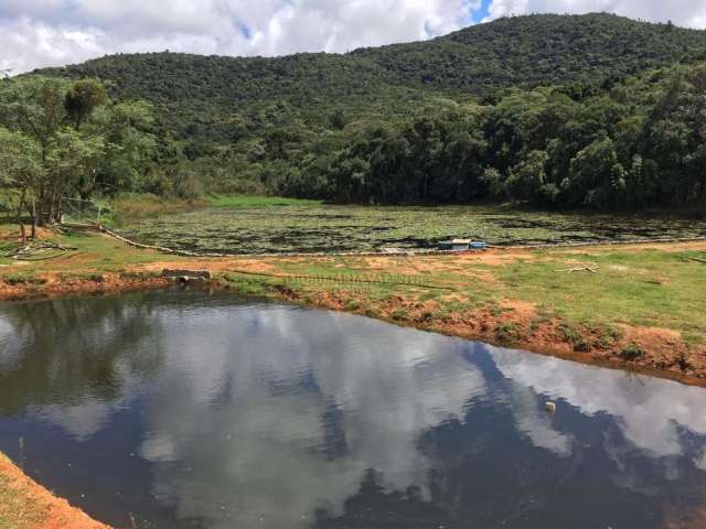 Chácara / sítio à venda na Estrada Tronco Palermo, Centro, Mandirituba por R$ 1.199.000