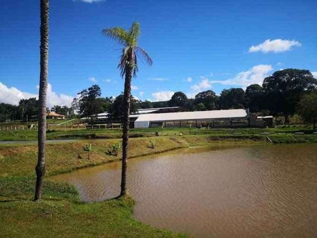 Maravilhoso hotel fazenda