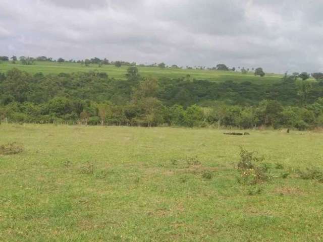 Sitio a venda com 2 alqueires e meio,em Guaianazes (Município de Pederneiras )