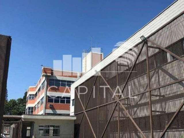 Galpão Para Locação Em São Bernardo Campo