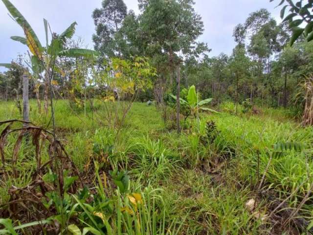 Chácara / sítio com 1 quarto à venda na Estrada Para Povoado Rio São João, Medeiros, Itatiaiuçu por R$ 160.000