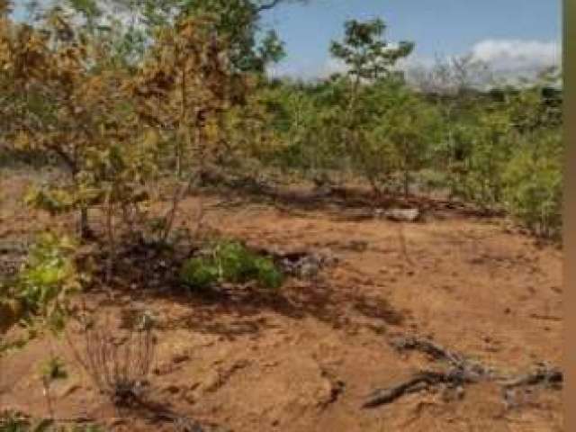 Fazenda à venda na Padre Félix, 75, Zona Rural, Felixlândia por R$ 3.500.000