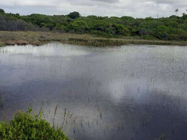 Lindos lotes de 600m² na beira do mar