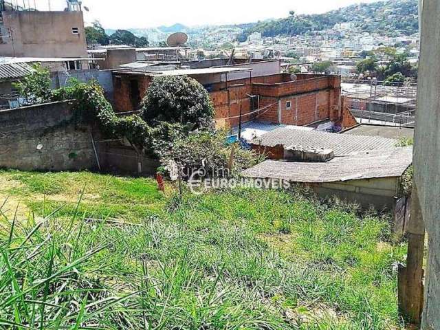 Terreno Residencial à venda, Vila Furtado de Menezes, Juiz de Fora - TE0579.