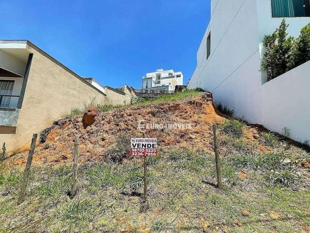 Terreno Residencial à venda, Santos Dumont, Juiz de Fora - TE0493.