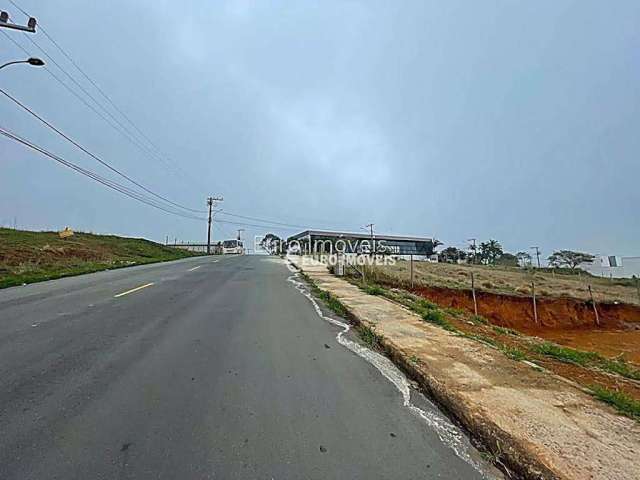 Terreno Residencial à venda, Novo Horizonte, Juiz de Fora - TE0745.