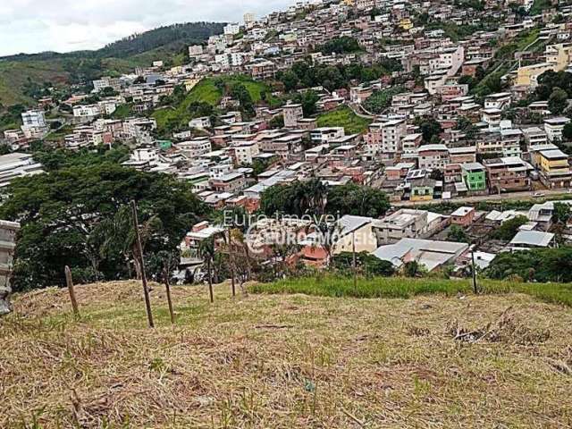 Terreno Residencial à venda, Encosta do Sol, Juiz de Fora - TE0783.