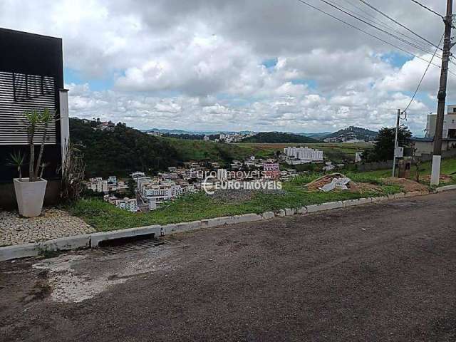 Terreno Residencial à venda, Vina  Del Mar, Juiz de Fora - TE0785.