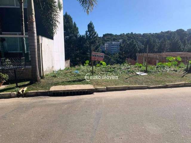 Terreno Residencial à venda, São Pedro, Juiz de Fora - TE0818.