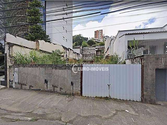 Terreno Residencial à venda, Centro, Juiz de Fora - TE0850.