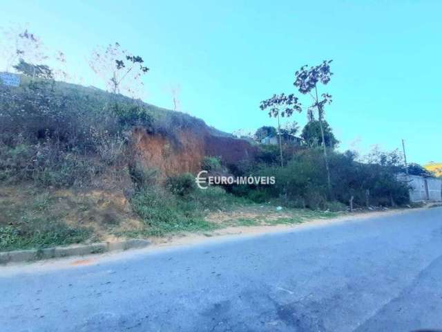 Terreno Residencial à venda, São Pedro, Juiz de Fora - TE1001.