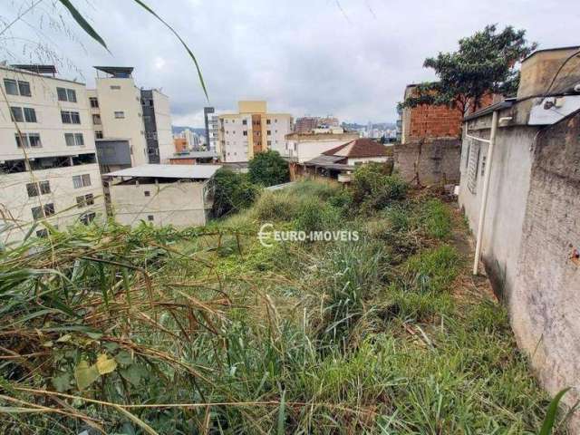 Terreno Residencial à venda, Paineiras, Juiz de Fora - TE1042.