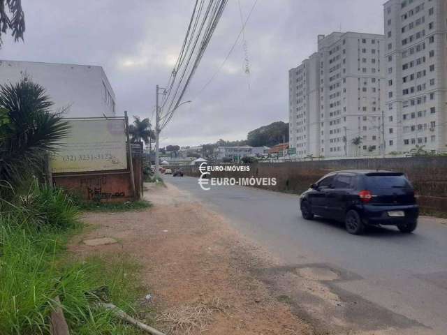 Terreno Residencial à venda, São Pedro, Juiz de Fora - TE1065.