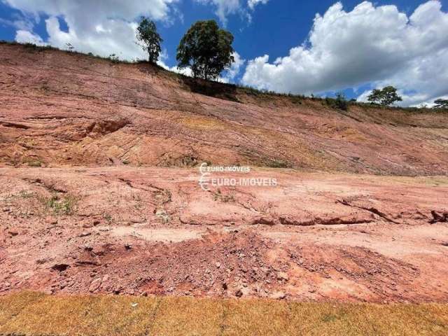 Terreno à venda, 1 m² por R$ 1.743.935,70 - Salvaterra - Juiz de Fora/MG