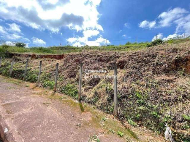 Terreno Residencial à venda, Mansões do Bom Pastor, Juiz de Fora - TE1075.