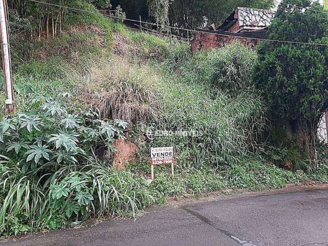 Terreno Residencial à venda, São Pedro, Juiz de Fora - TE0123.