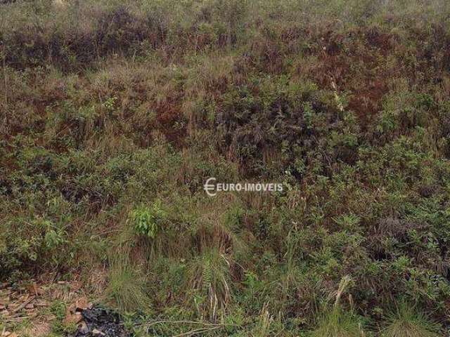 Terreno Residencial à venda, Aeroporto, Juiz de Fora - TE0177.