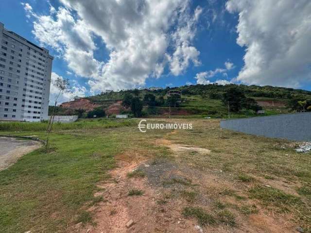 Terreno Residencial à venda, Novo Horizonte, Juiz de Fora - TE1121.