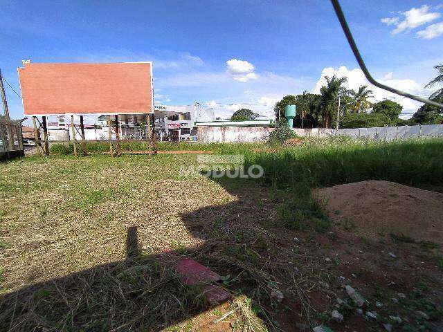 Terreno para locação no Bairro Martins