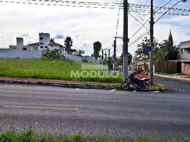 Terreno para locação Bairro Morada da Colina