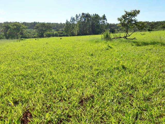 CHÁCARA à venda, 2 quartos, 1 vaga, Mansour - Uberlândia/MG