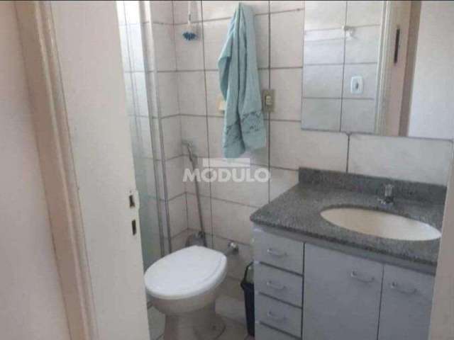 Apartamento residencial para locação Bairro Santa Mônica