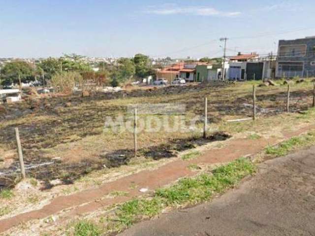 TERRENO à venda, Osvaldo Rezende - Uberlândia/MG