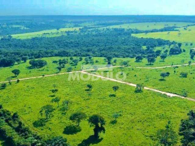 CHÁCARA à venda, 1 quarto, CHACARAS ELDORADO - Uberlândia/MG