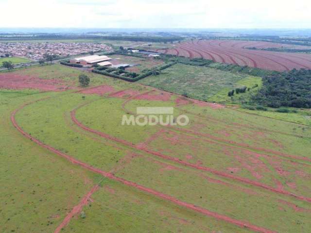 ÁREA à venda, ZONA RURAL - Uberlândia/MG