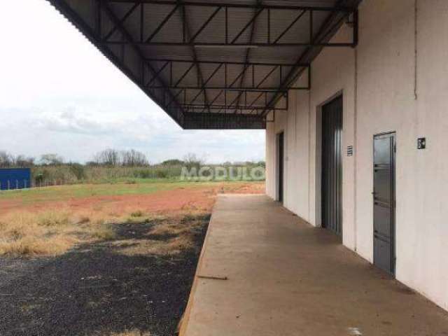 Barracão comercial para locação Bairro Distrito Industrial