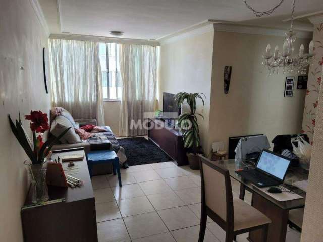 LIndo Apartamento no Tubalina