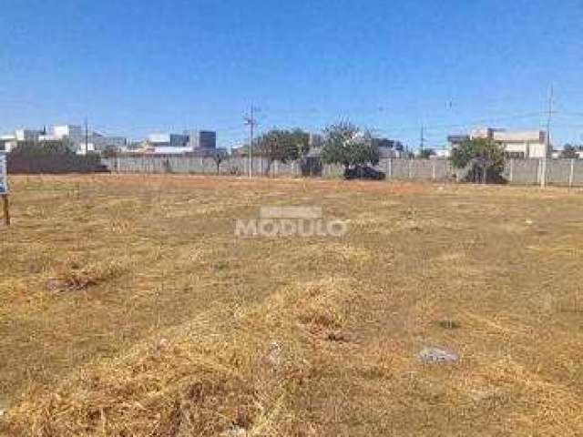 LOTE à venda, Segismundo Pereira - Uberlândia/MG