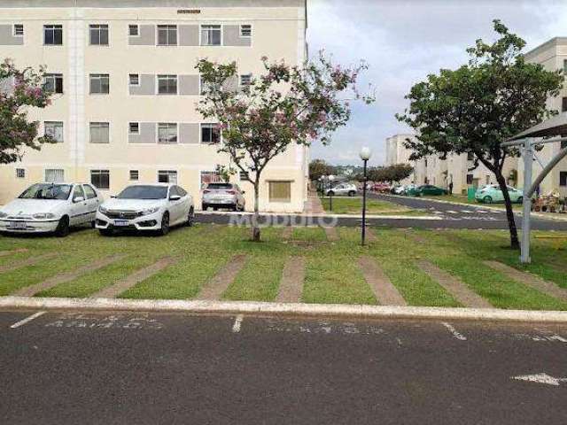 Apartamento residencial para locação Bairro Gavea