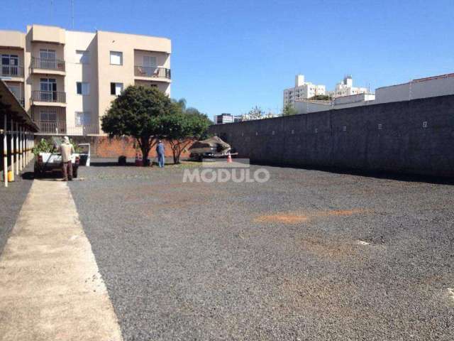 Dois Terrenos Contíguos de 400m² Cada - Totalizando 800m²