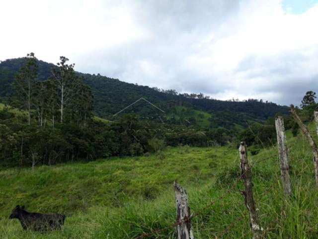 Terreno Padrão em Pindamonhangaba