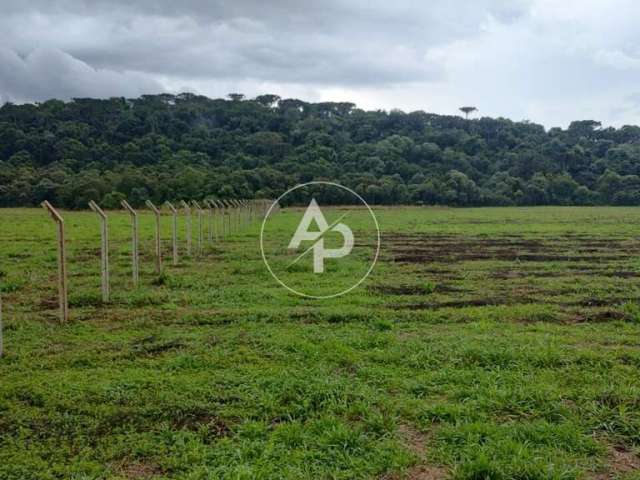 Chácara a 15 minutos de Centro de Ponta Grossa