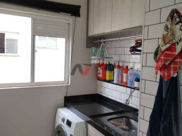 Apartamento Padrão Quintino Facci II, Ribeirão Preto - SP