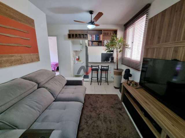 Apartamento Padrão República, Ribeirão Preto - SP