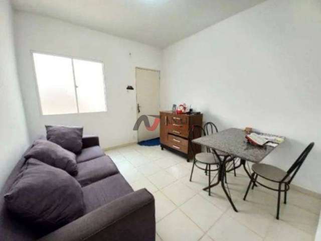 Apartamento Padrão Jardim Zara, Ribeirão Preto - SP