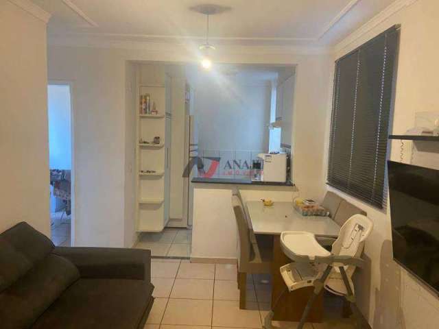 Apartamento Padrão República, Ribeirão Preto - SP