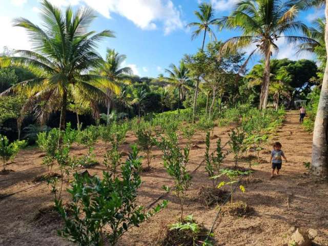 Terreno para Venda em Camaçari, Monte Gordo (Monte Gordo)