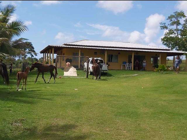 Sítio para Venda em Camaçari, Barra do Pojuca (Monte Gordo), 4 dormitórios, 4 suítes, 5 banheiros, 5 vagas