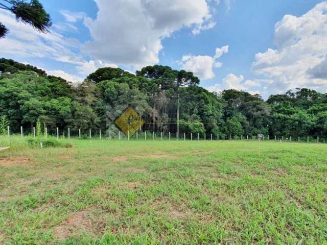 Terreno em condomínio fechado à venda na Rua Pedro Cruzetta, Campo Comprido, Curitiba, 755 m2 por R$ 1.384.000