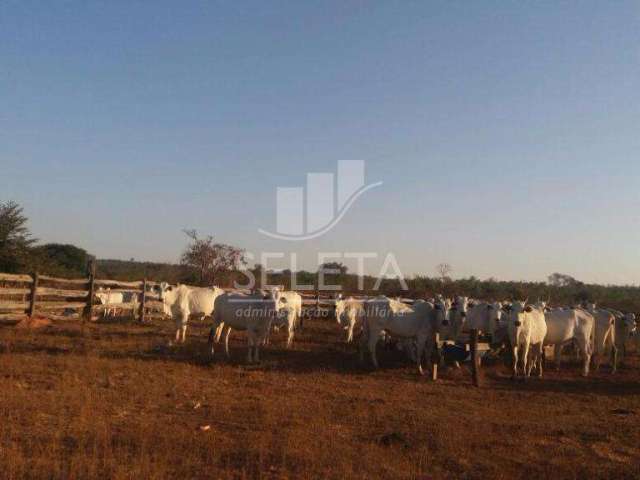 Fazenda à venda, Zona Rural, GENERAL CARNEIRO - MT