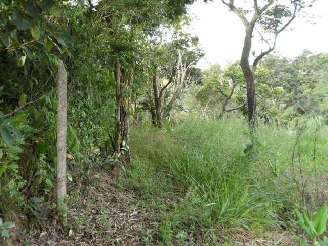 Terreno em Vila Ypê - Jarinu, SP