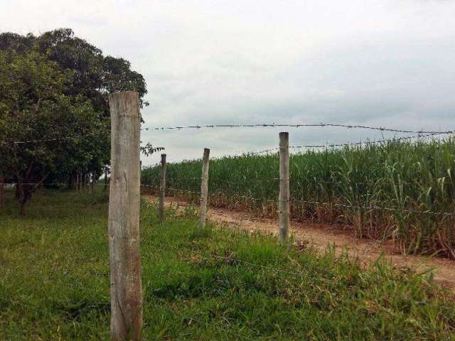 Sítio / Fazenda à venda, Canal Torto - Piracicaba/SP