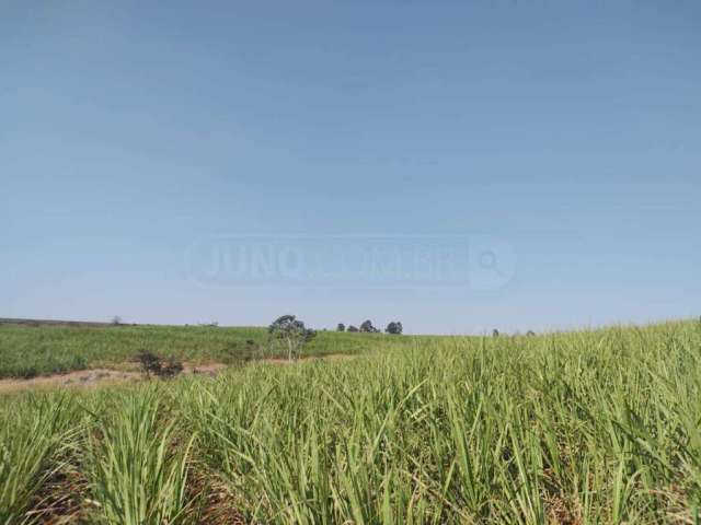 Área à venda, Área Rural de Rio das Pedras - Rio das Pedras/SP