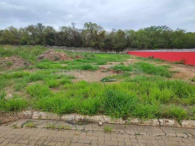 Terreno à venda, Loteamento Industrial Palmeiras - Rio das Pedras/SP