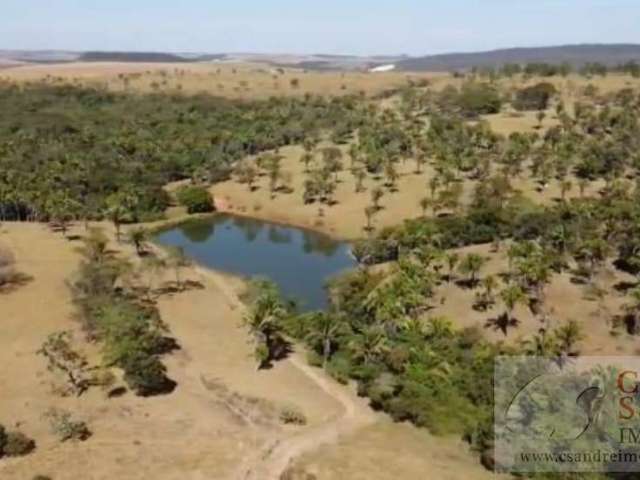 Fazenda para Venda em Corumbá de Goiás, Zona  Rural, 3 dormitórios, 3 banheiros, 4 vagas